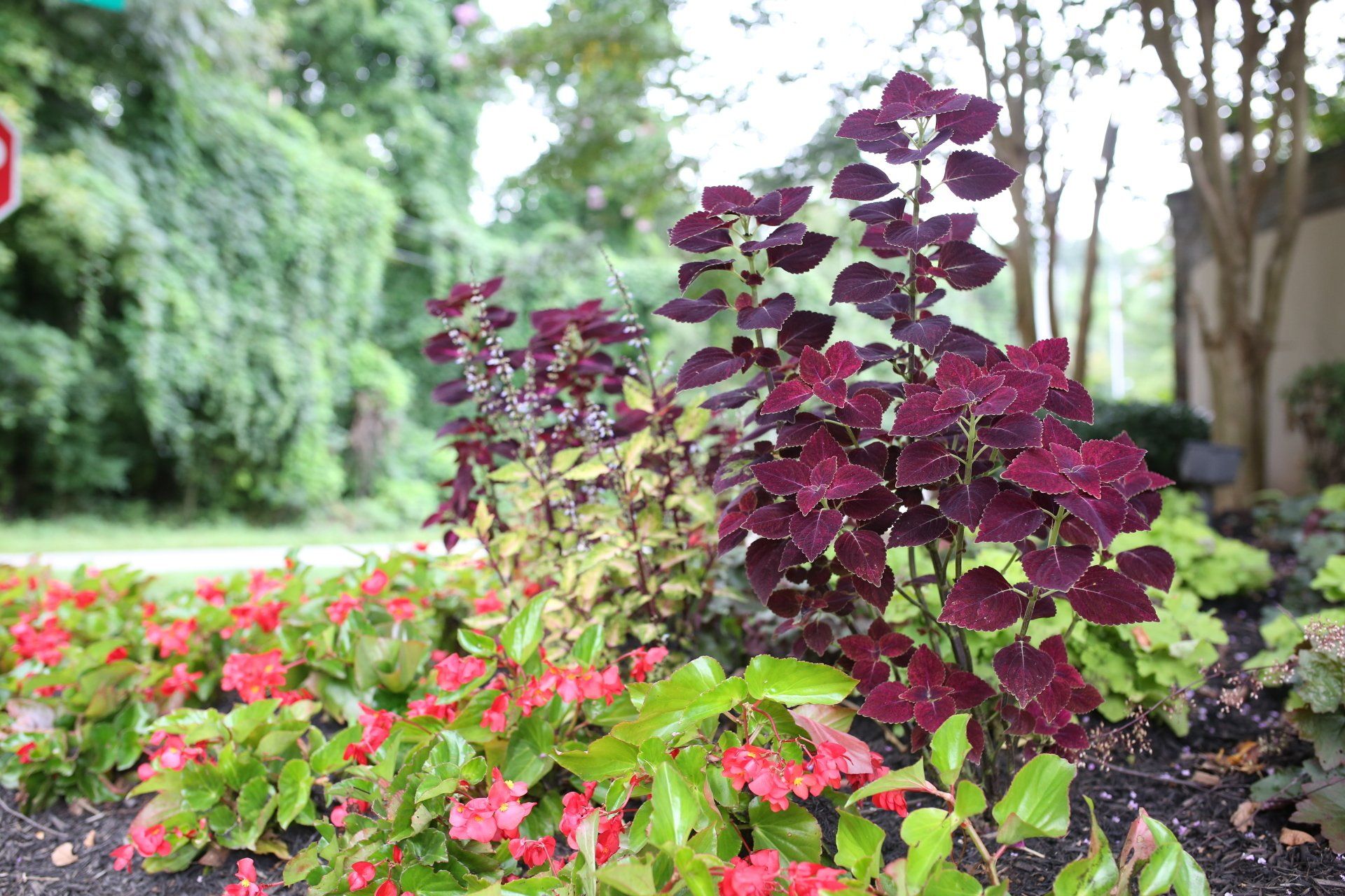 Bed Management — Flower Garden in Knoxville, TN