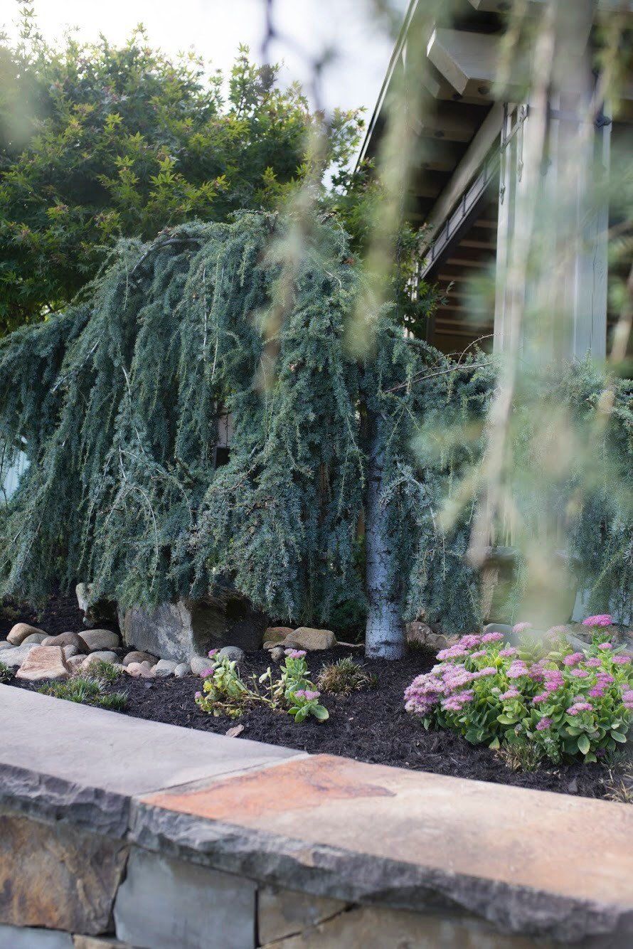 Hardscape — Modern House With Front Yard Landscaping in Knoxville, TN