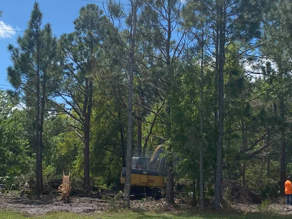 Land Clearing Service in Frostproof FL