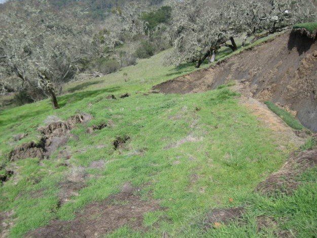 Nice land of soil and grassy area — Santa Rosa, CA — Reese & Associates