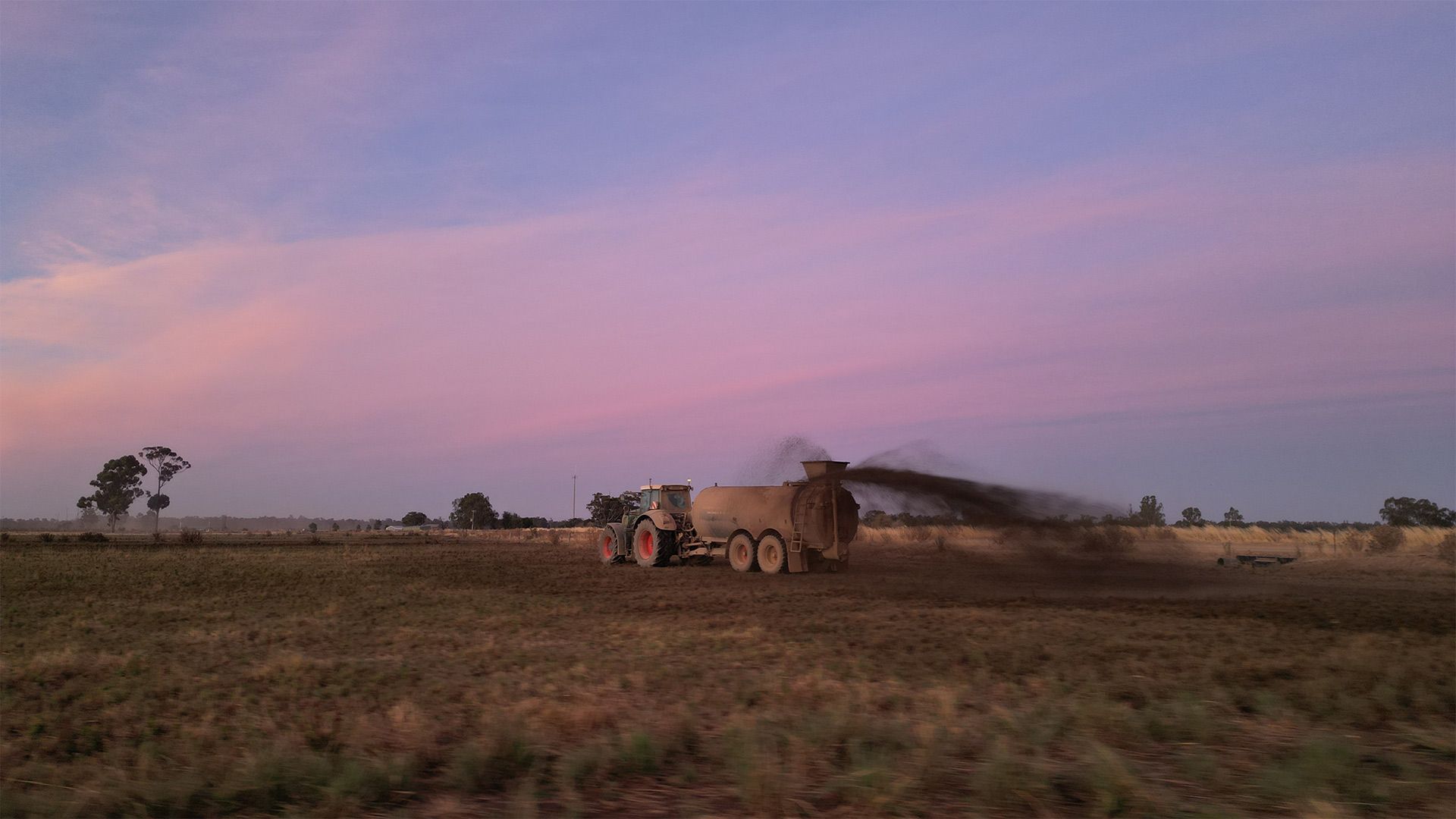 a tractor is plowing a field at sunset .