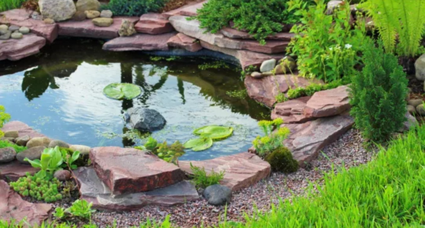 Serene pond surrounded by lush greenery in a beautifully designed landscape, reflecting nature's harmony and tranquility.