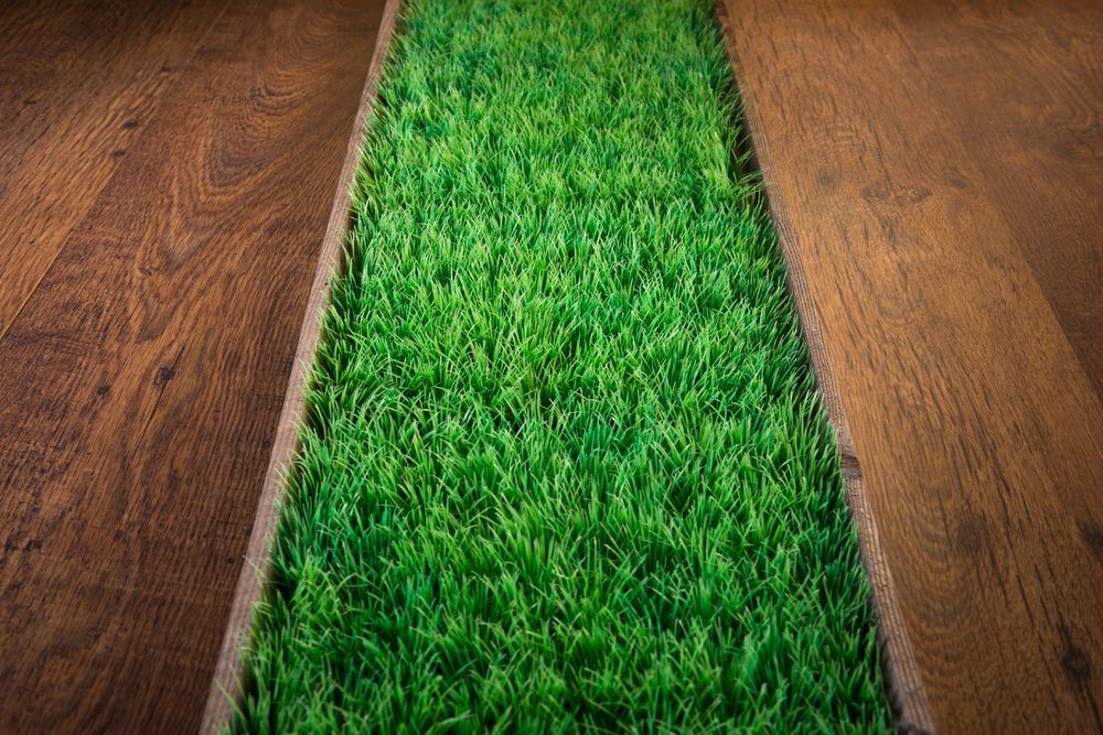 Wooden Floor With a Strip of Artificial Green Grass — Geoff Thompson's Independent Flooring Centre in Taree, NSW