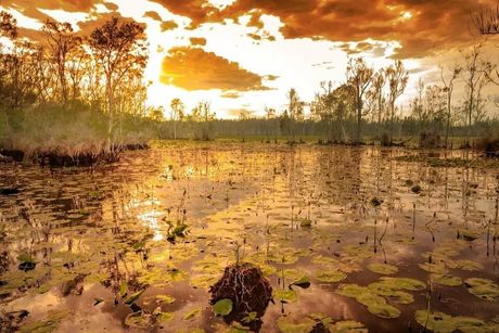 Daylight Reflecting on the Water — Geoff Thompson's Independent Flooring Centre In Port Macquarie, NSW