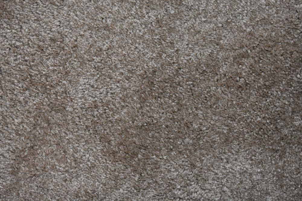 Soft Brown Carpet — Geoff Thompson’s Independent Flooring Centre in South West Rocks, NSW