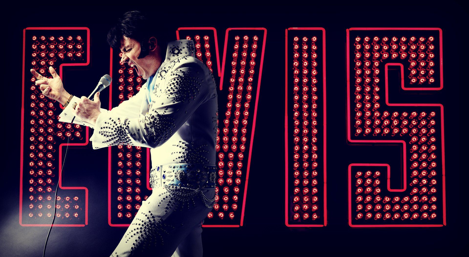 Elvis Tribute Act - Book worldwide