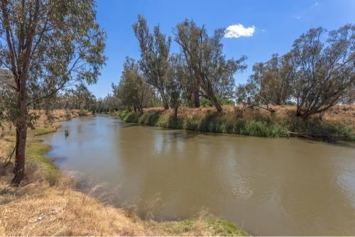 River Surrounded by Trees and Grass on a Sunny Day — Transforce in Orange, NSW