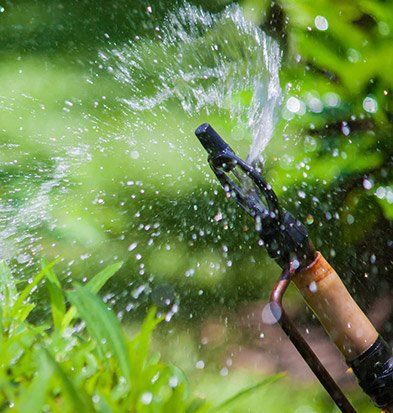 Sprinkler Head Adjustment — Sprinkler Maintenance in Everett, WA