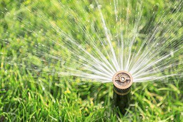 Metal Sprinkler — Irrigation Systems in Everett, WA