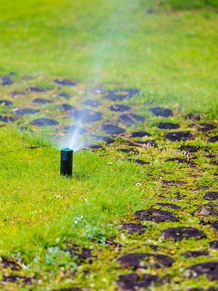 Garden Sprinkler — Irrigation Systems in Everett, WA