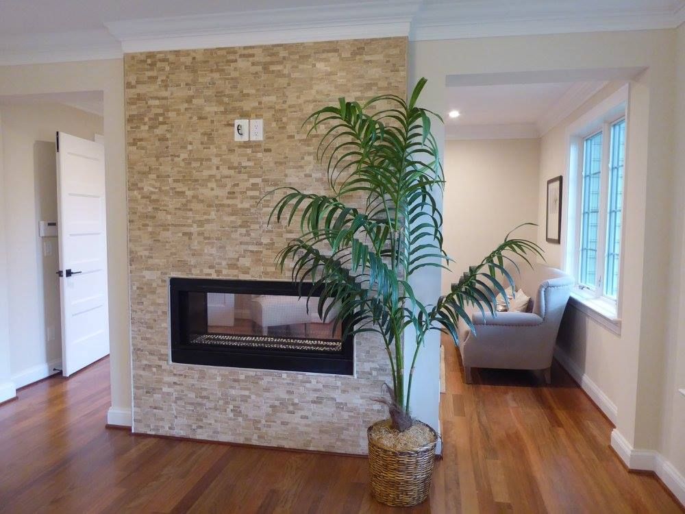 A living room with a fireplace and a palm tree
