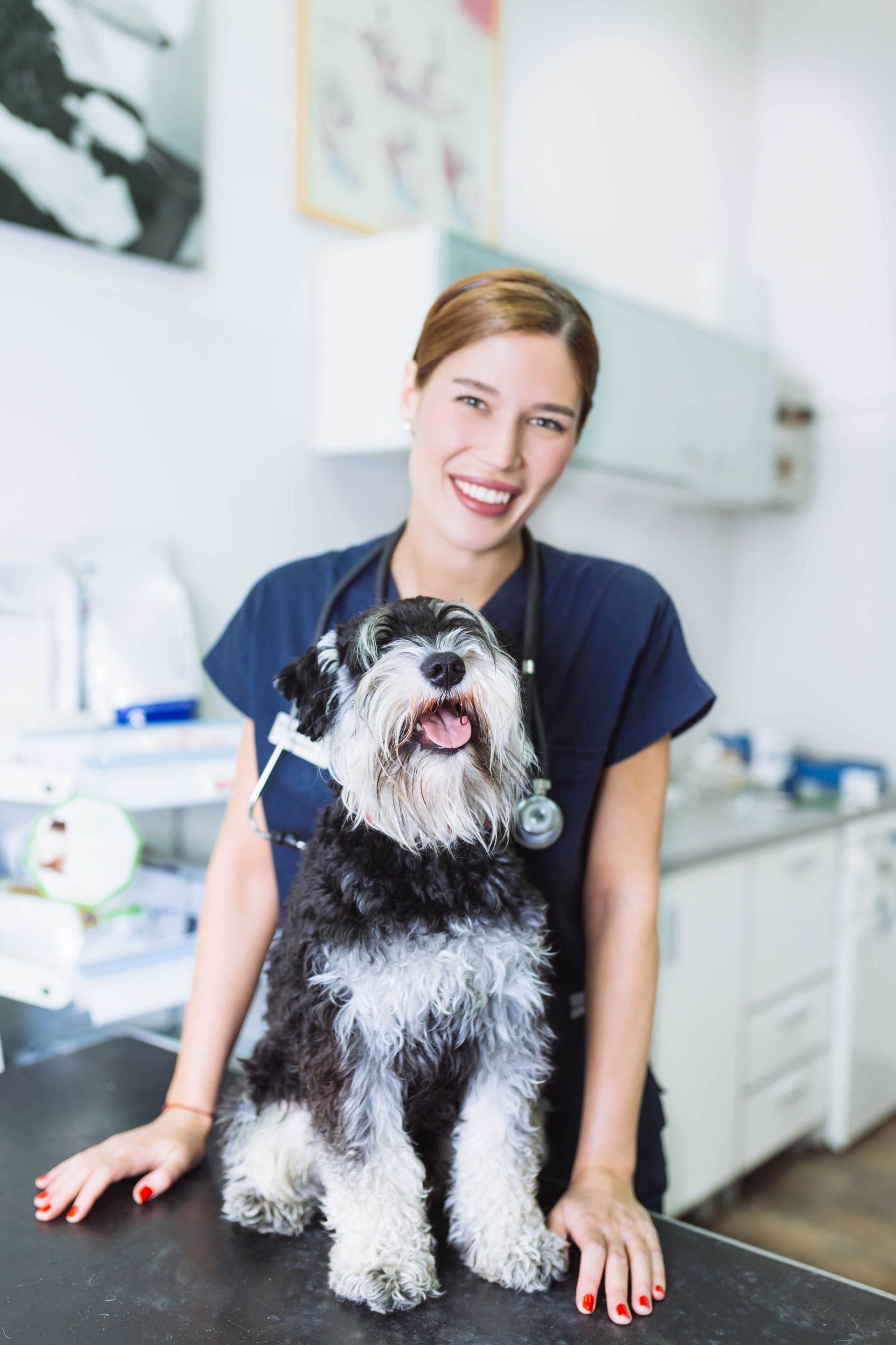 Vet — Lady Veterinarian With A Patient Dog In Westland, MI