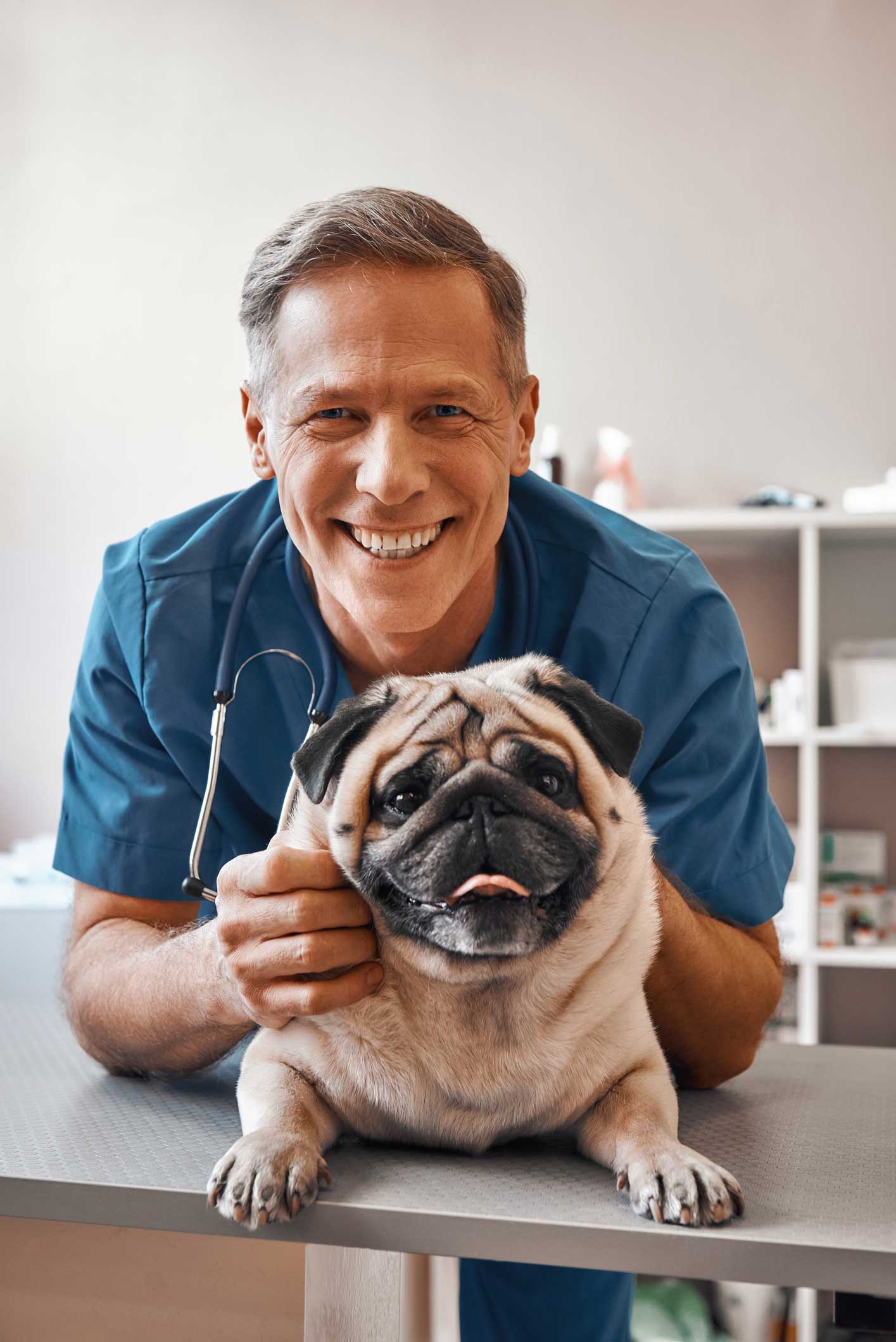 Vaccines — Veterinarian Holding A Pug In Westland, MI
