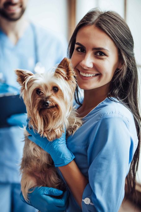 Veterinarian — Lady Nurse Holding A Puppy In Westland, MI
