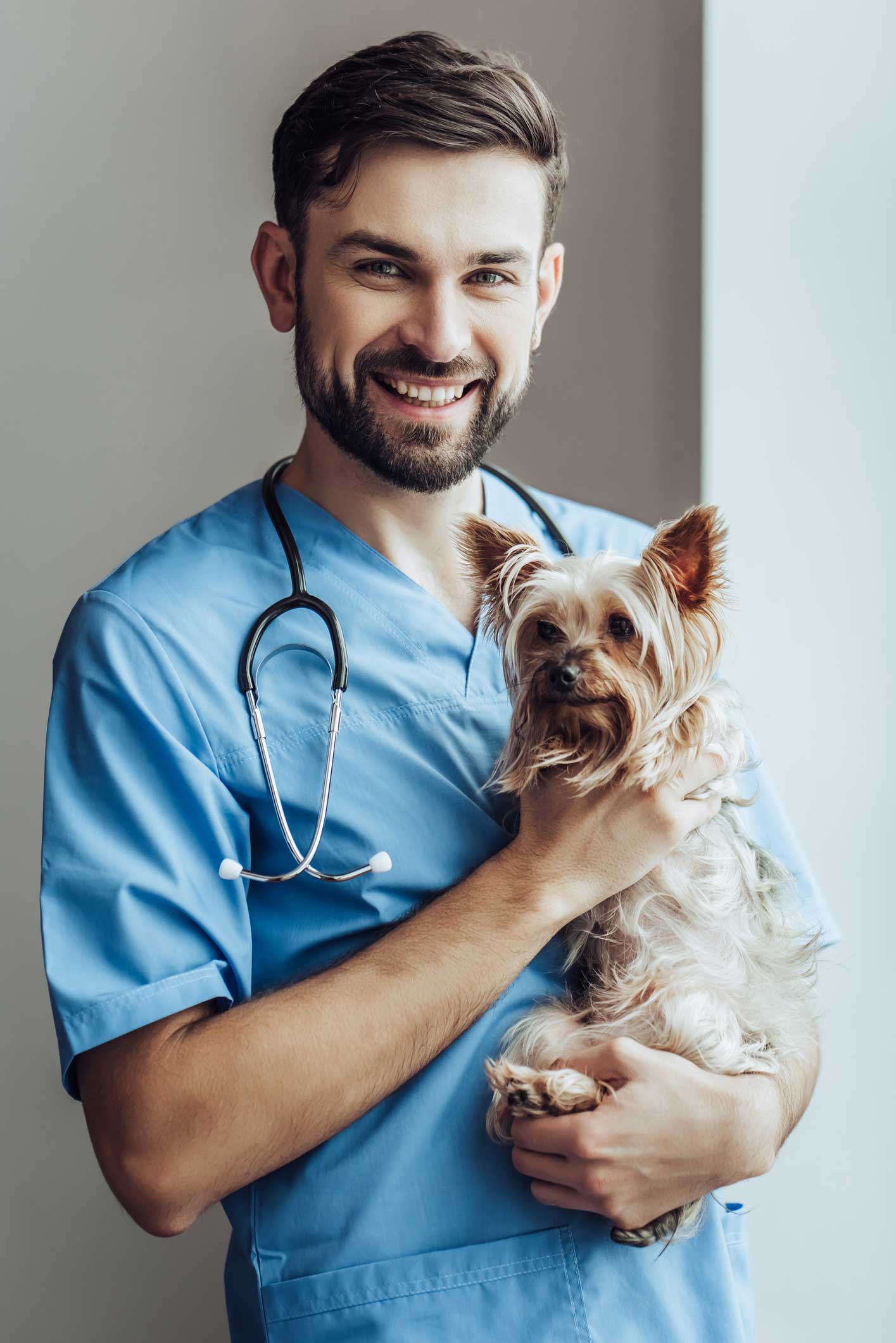 Boarding — Doctor Carrying A Small Dog At Clinic In Westland, MI