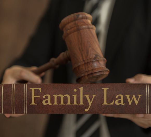 Lawyer Holding Family Law Book — Coral Gables, FL — Guillermo Pesant Law Office