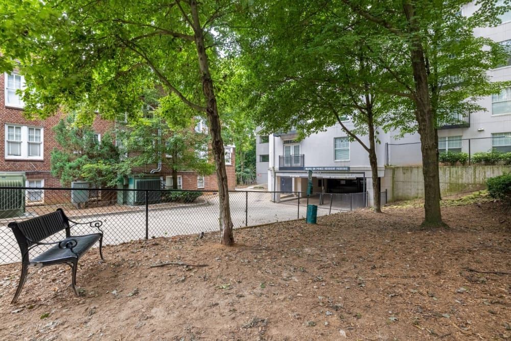 View of a dog park area with a black metal park bench to the left, surrounded by trees with green foliage. In the background are brick and modern white apartment buildings with a fenced parking entrance. The ground is covered with dry leaves and the sky is overcast at Marq on Ponce.