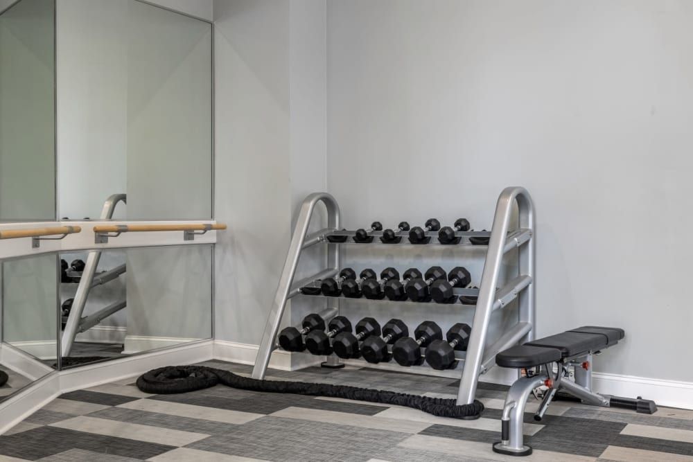 A tidy corner of a modern gym with a full rack of black dumbbells, an adjustable workout bench, and a barre in front of a mirrored wall. The floor features a gray and white checkerboard pattern at Marq on Ponce.