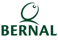 logo-bernal