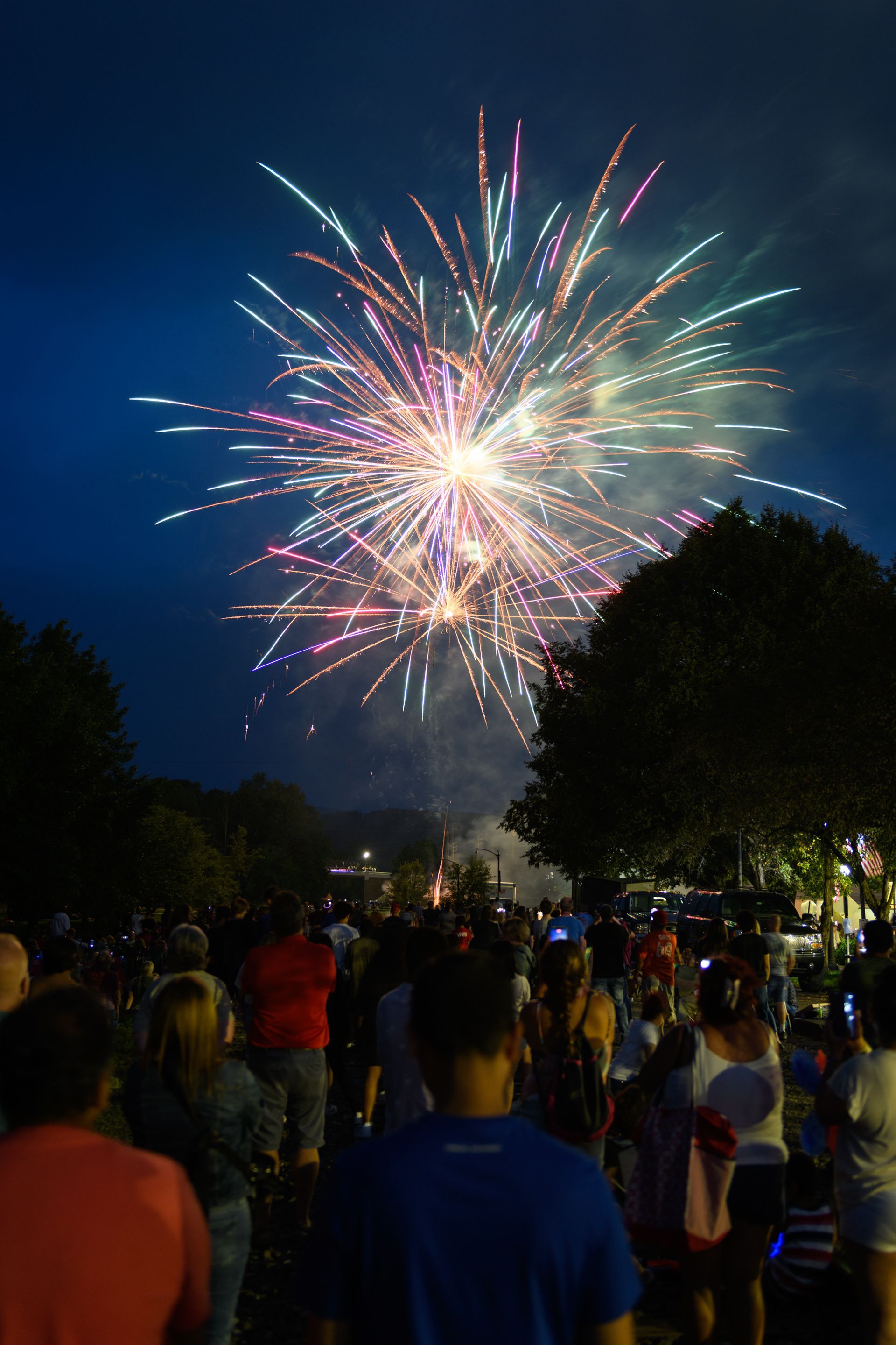 A crowd of people are watching fireworks in the night sky.