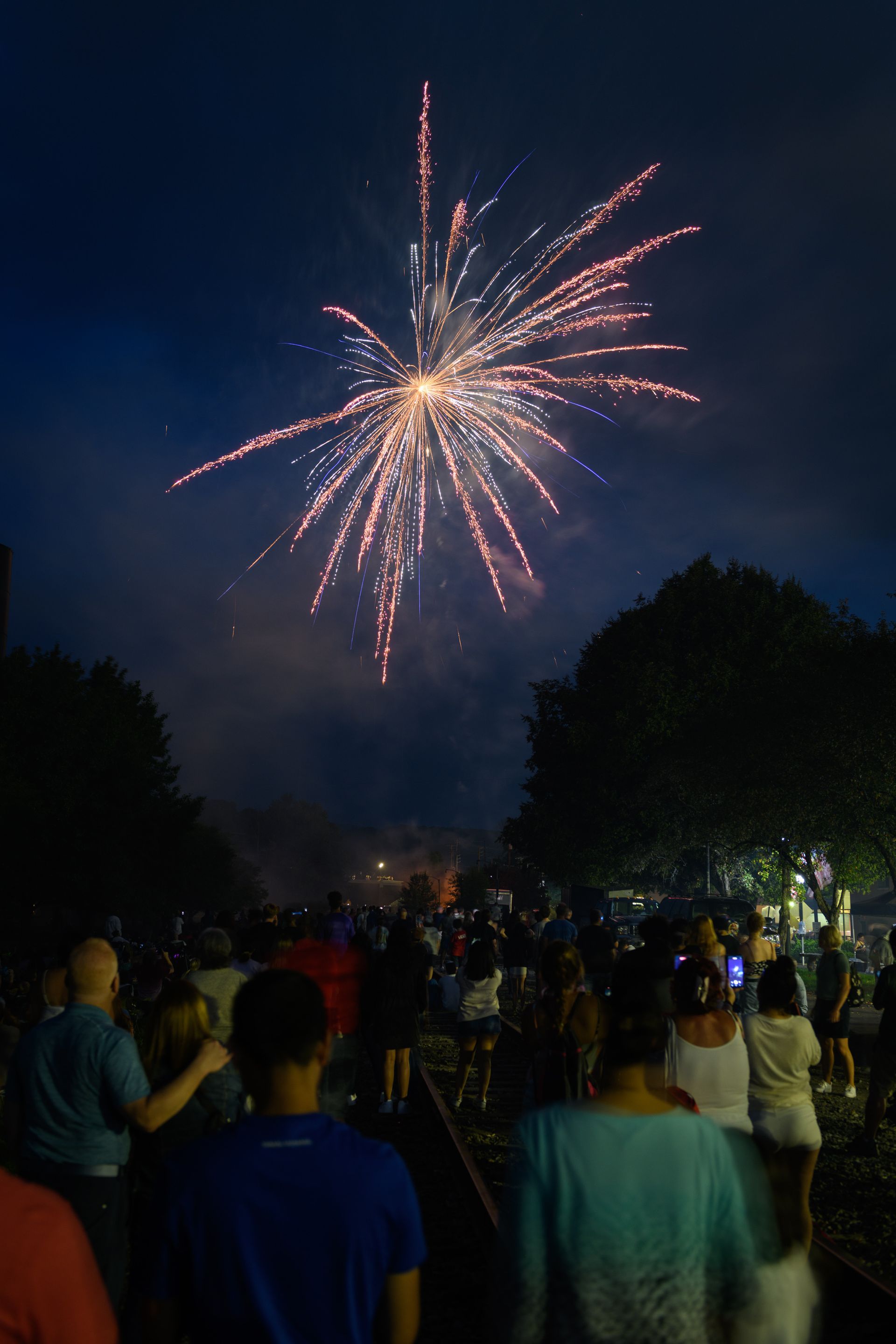 A crowd of people are watching fireworks in the night sky