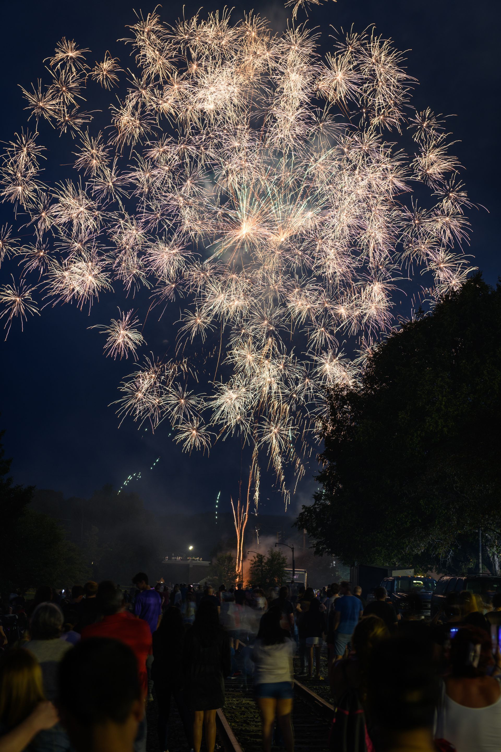 A crowd of people watching fireworks in the night sky