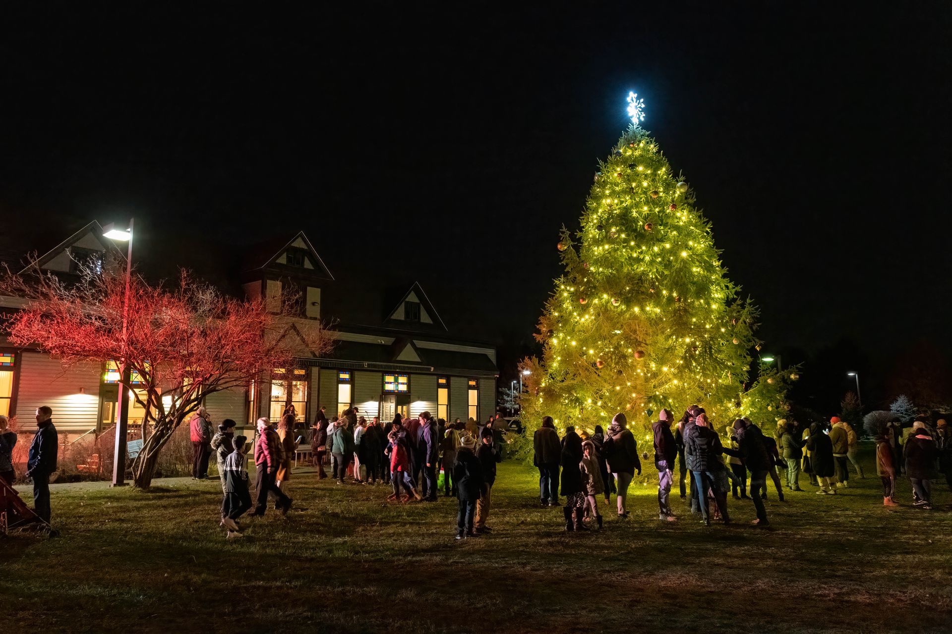 Large Christmas tree with lights, people gathered outside a building at night.