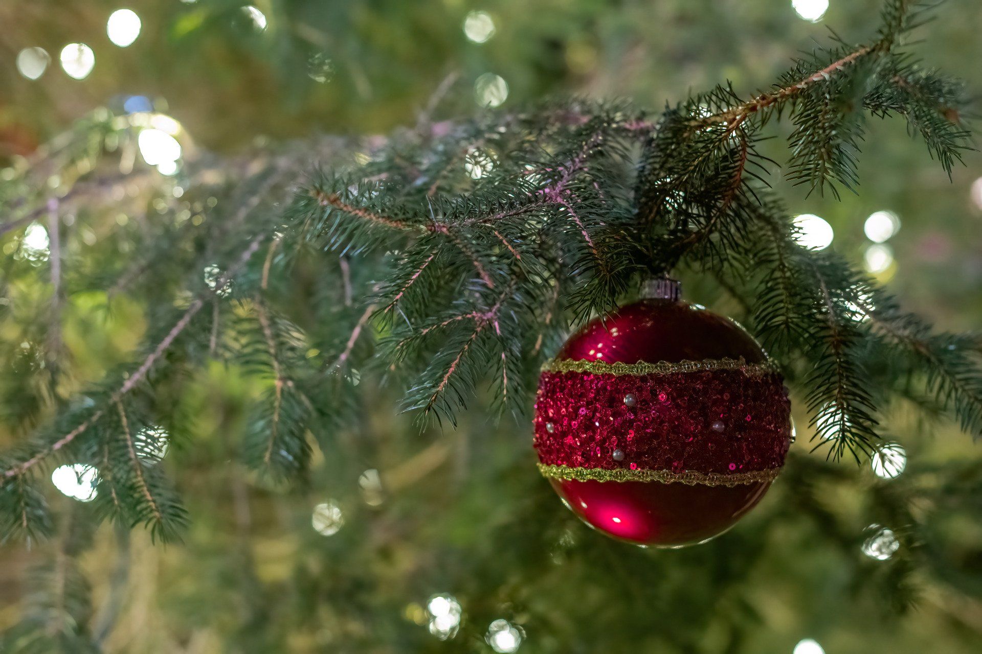 Eastburg Community Alliance