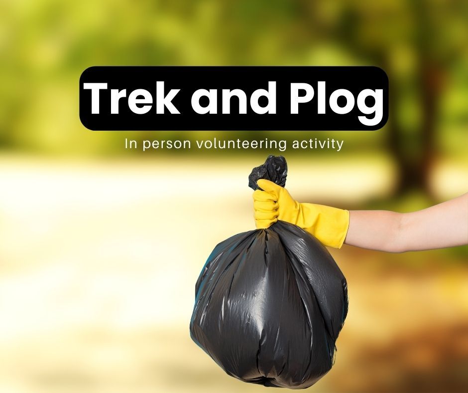 story writing virtual volunteering event