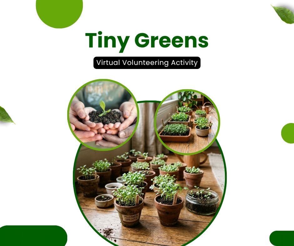 A young girl is holding a potted plant in front of a sign that says kitchen garden