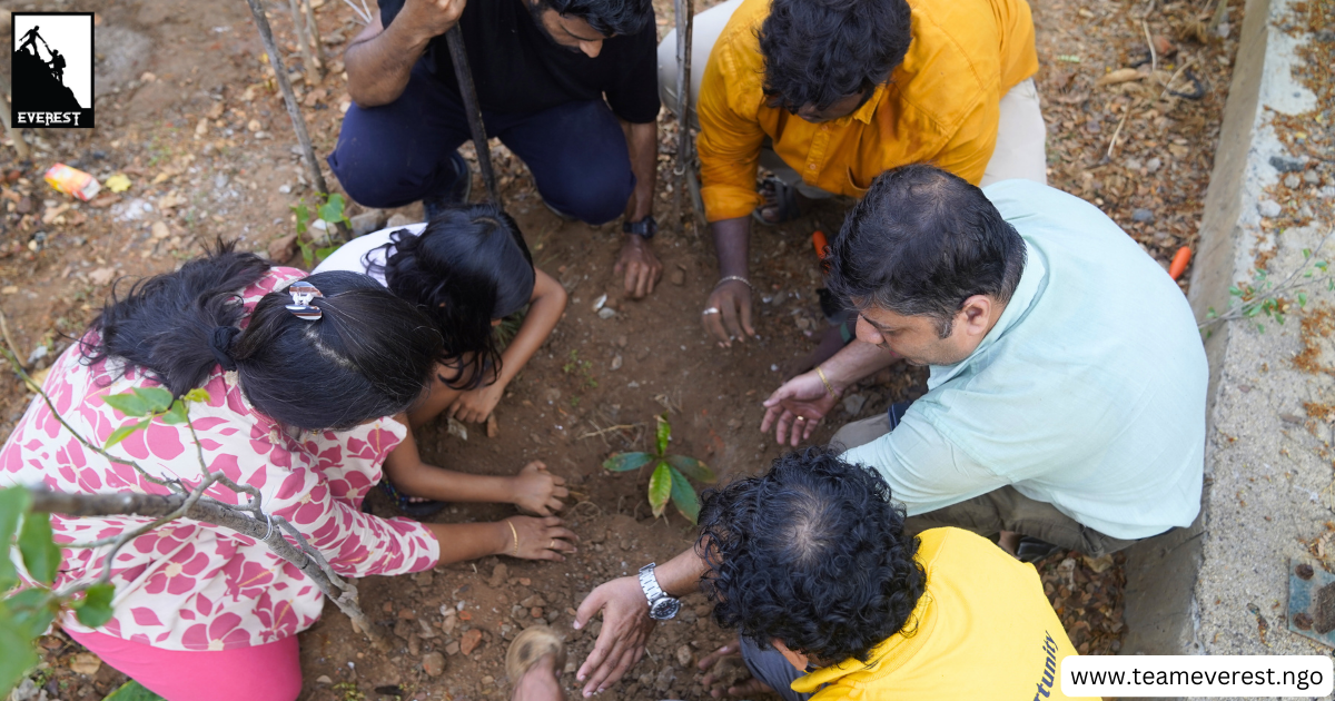employee volunteers planting a sapling as part of tree plantation CSR activity