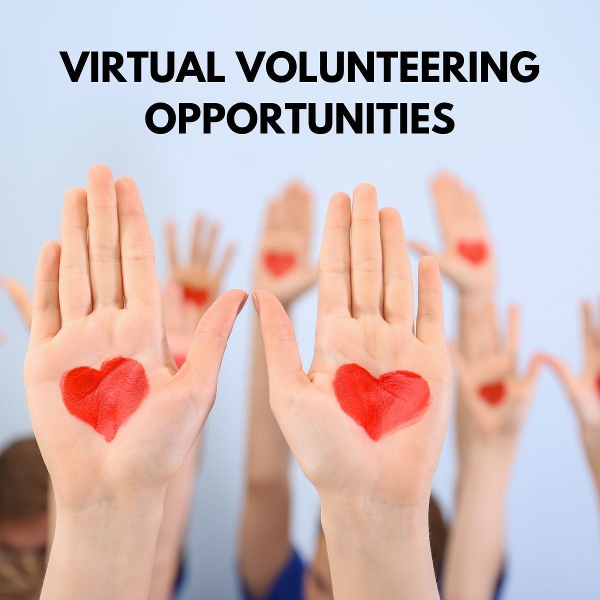 Virtual ​volunteering opportunities