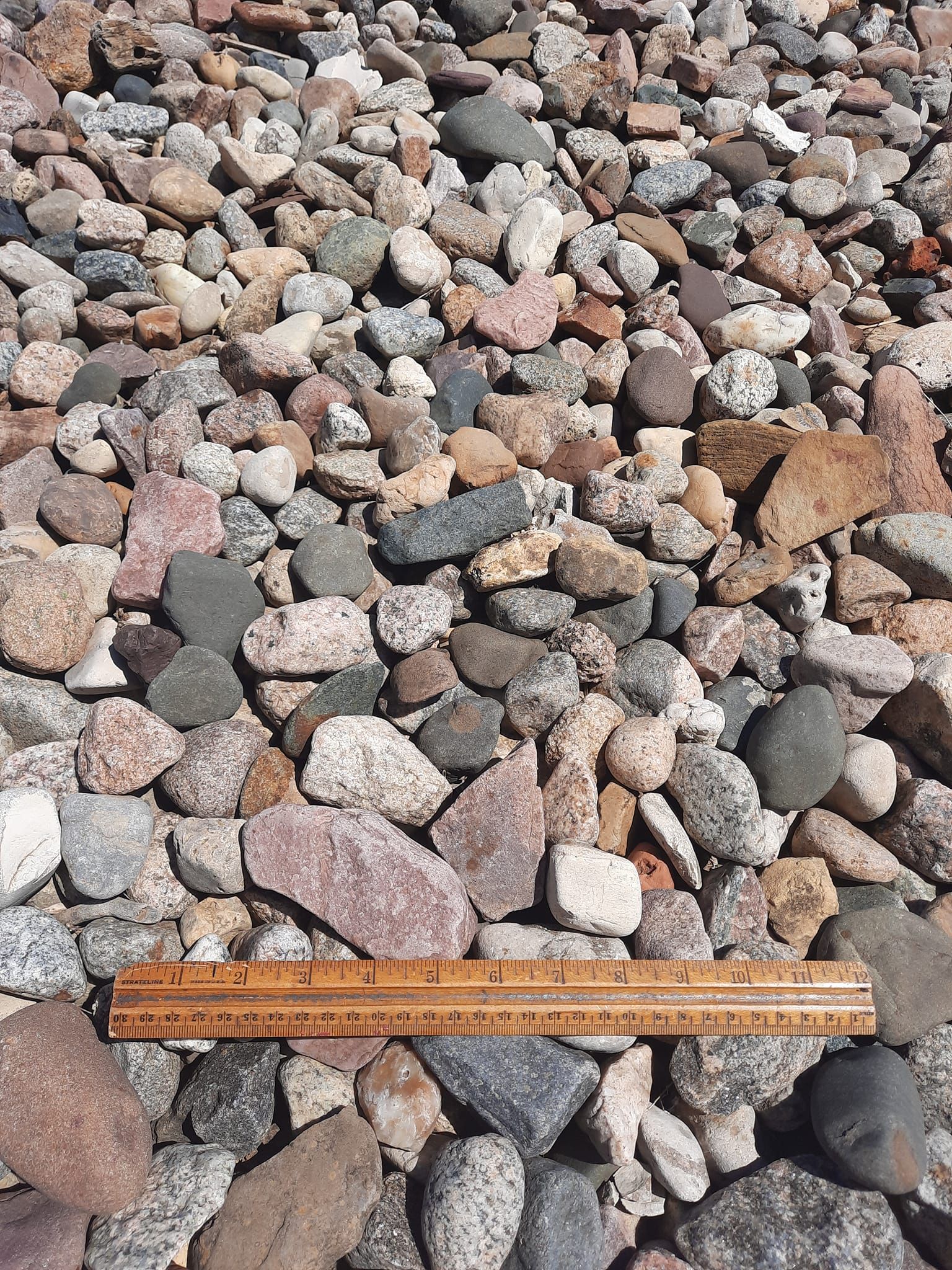 A ruler is sitting on top of a pile of rocks.
