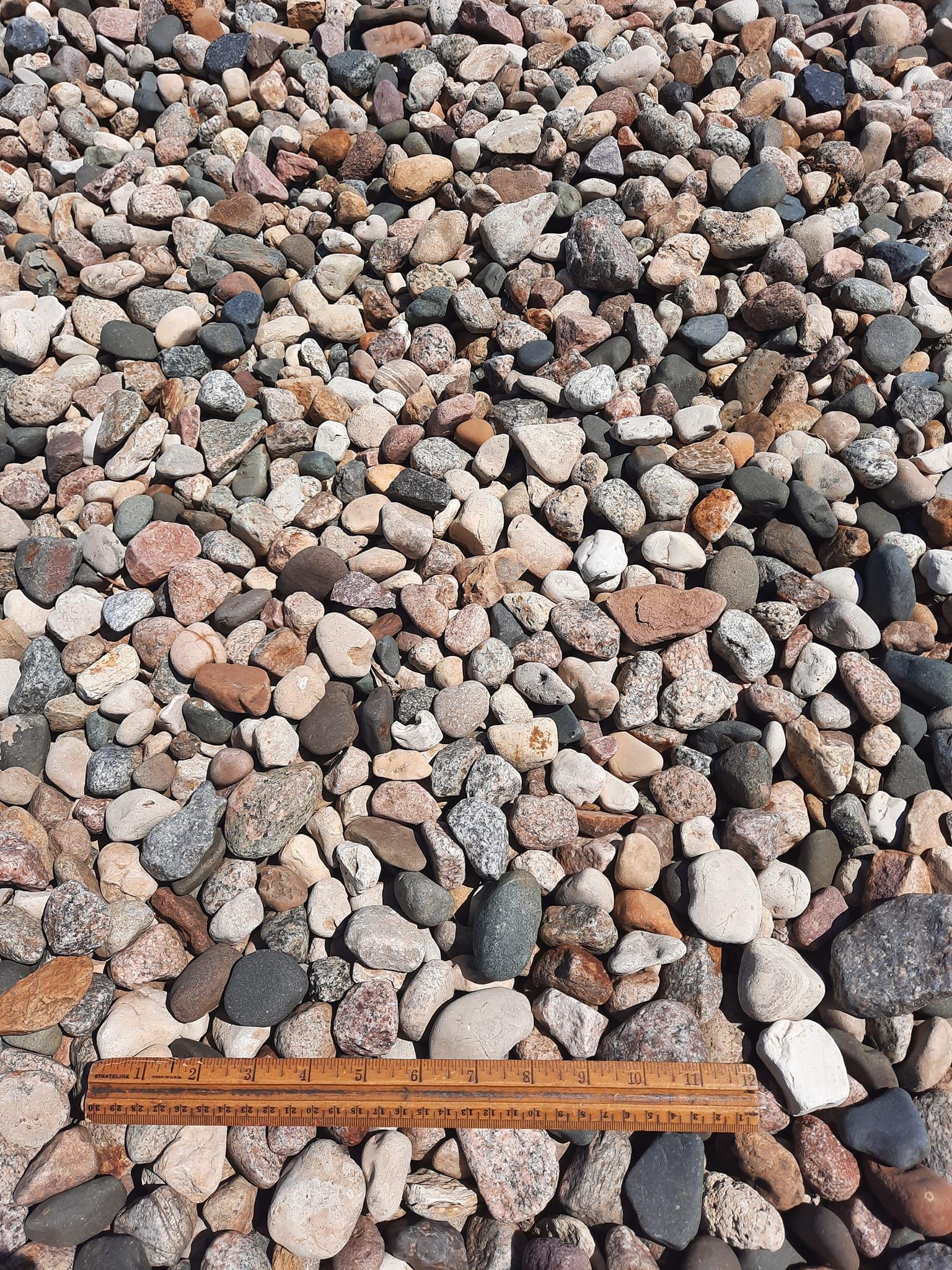 A ruler is sitting on top of a pile of rocks.