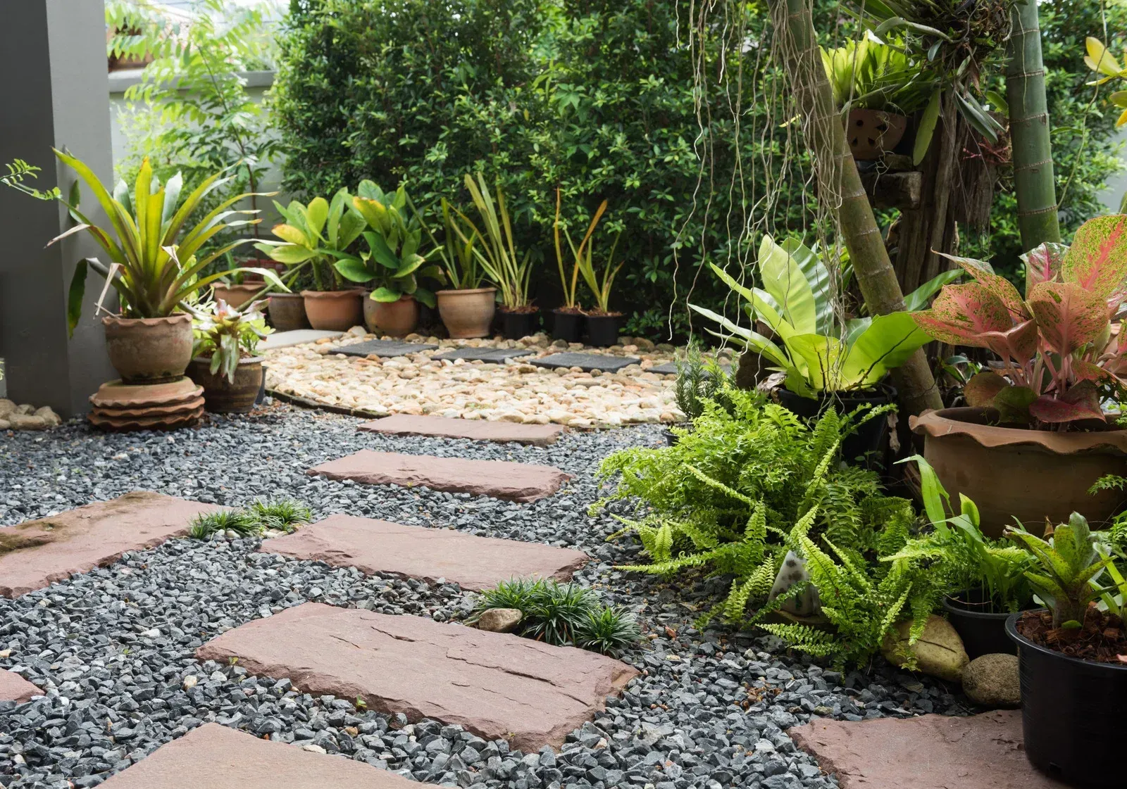 A garden filled with lots of potted plants and rocks.