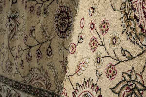 Upholstery Cleaning Service – Austin, TX – Deep Eddy Rug Cleaners