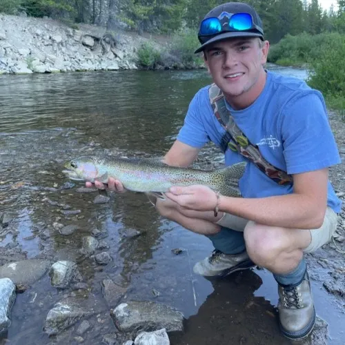 A man in a blue shirt is kneeling down holding a rainbow trout