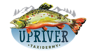 upriver-taxidermy-logo