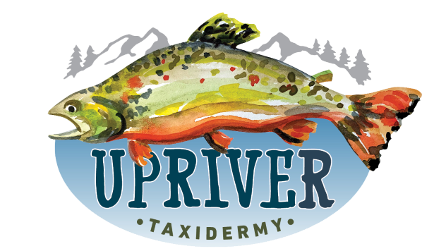 upriver-taxidermy-logo