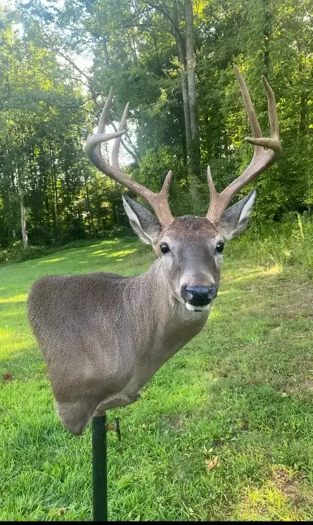 A deer is standing on a pole in a field.