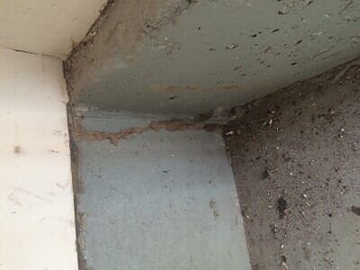 Termite Shelter Tube in a Garage — Licensed Exterminators in Parlin, NJ