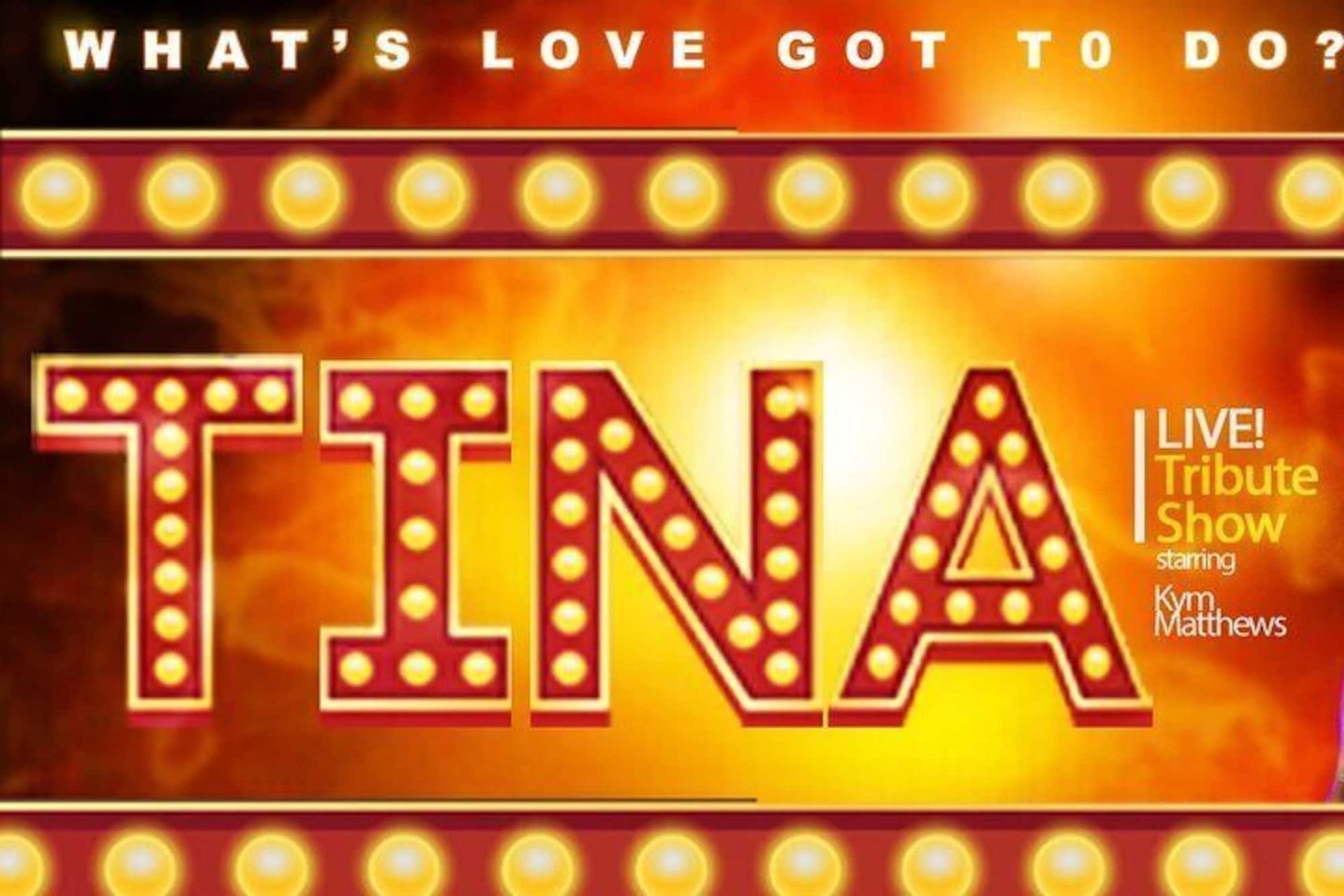 a poster for a live tribute show called tina
