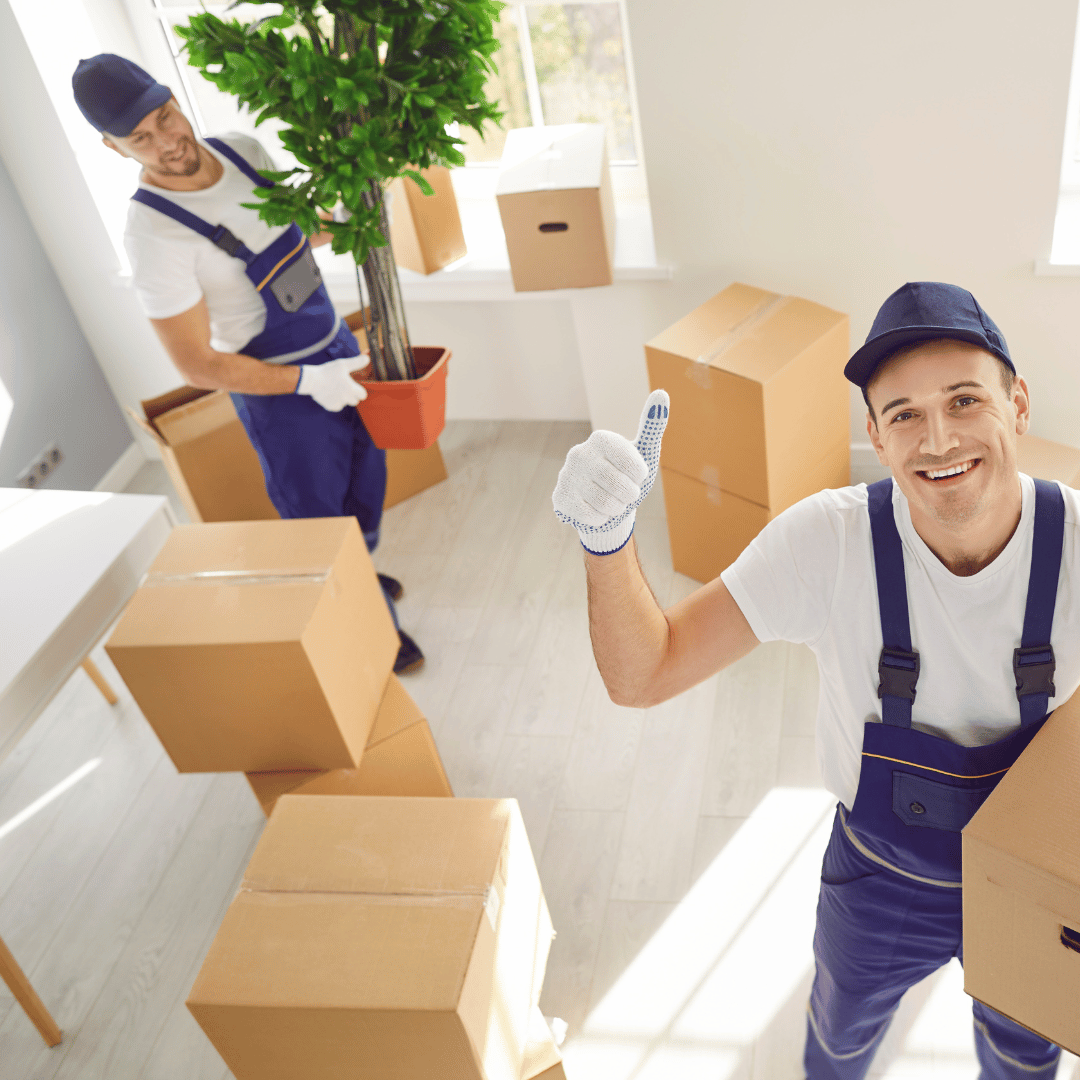 A man is holding a potted plant and giving a thumbs up