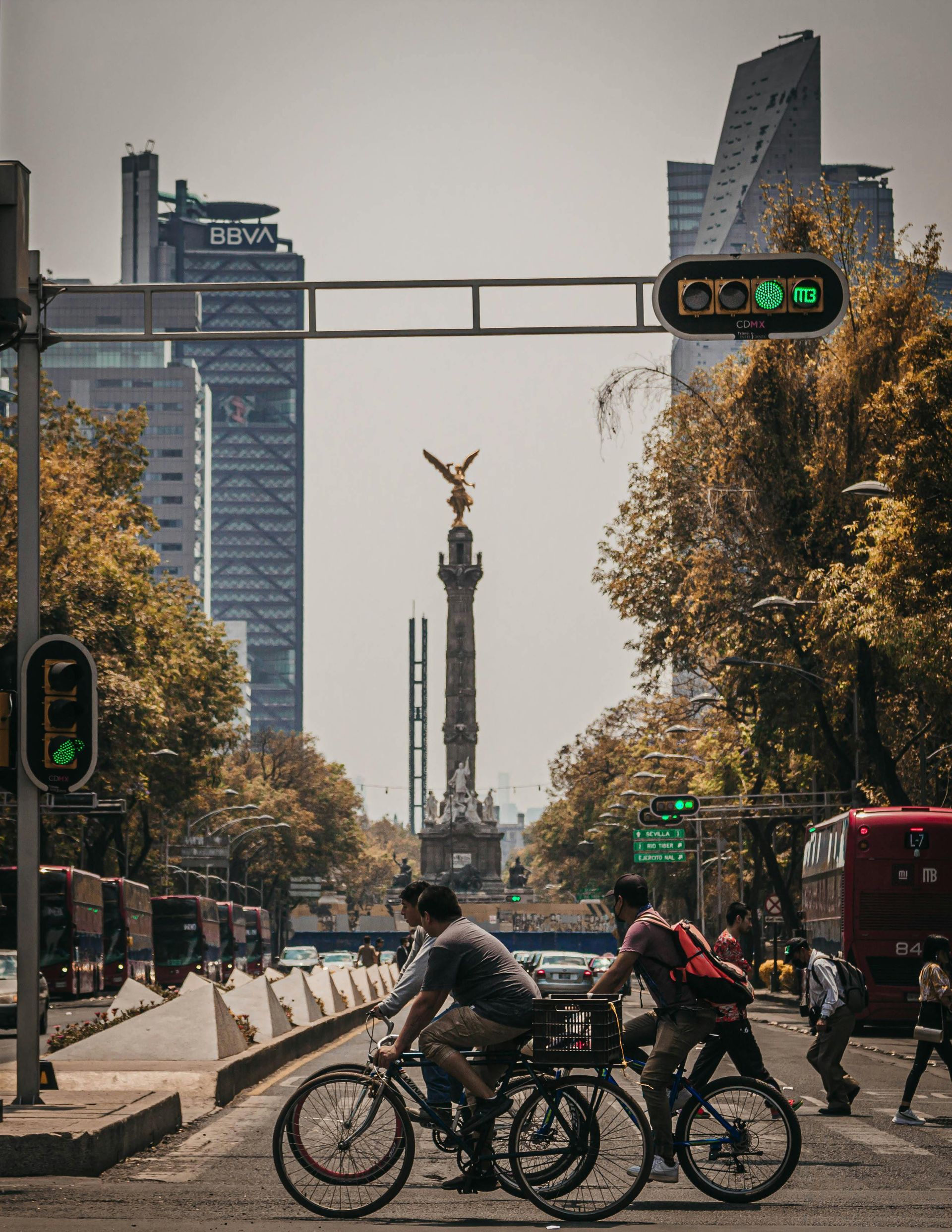 Visual reference of dirty refrigerator coils 