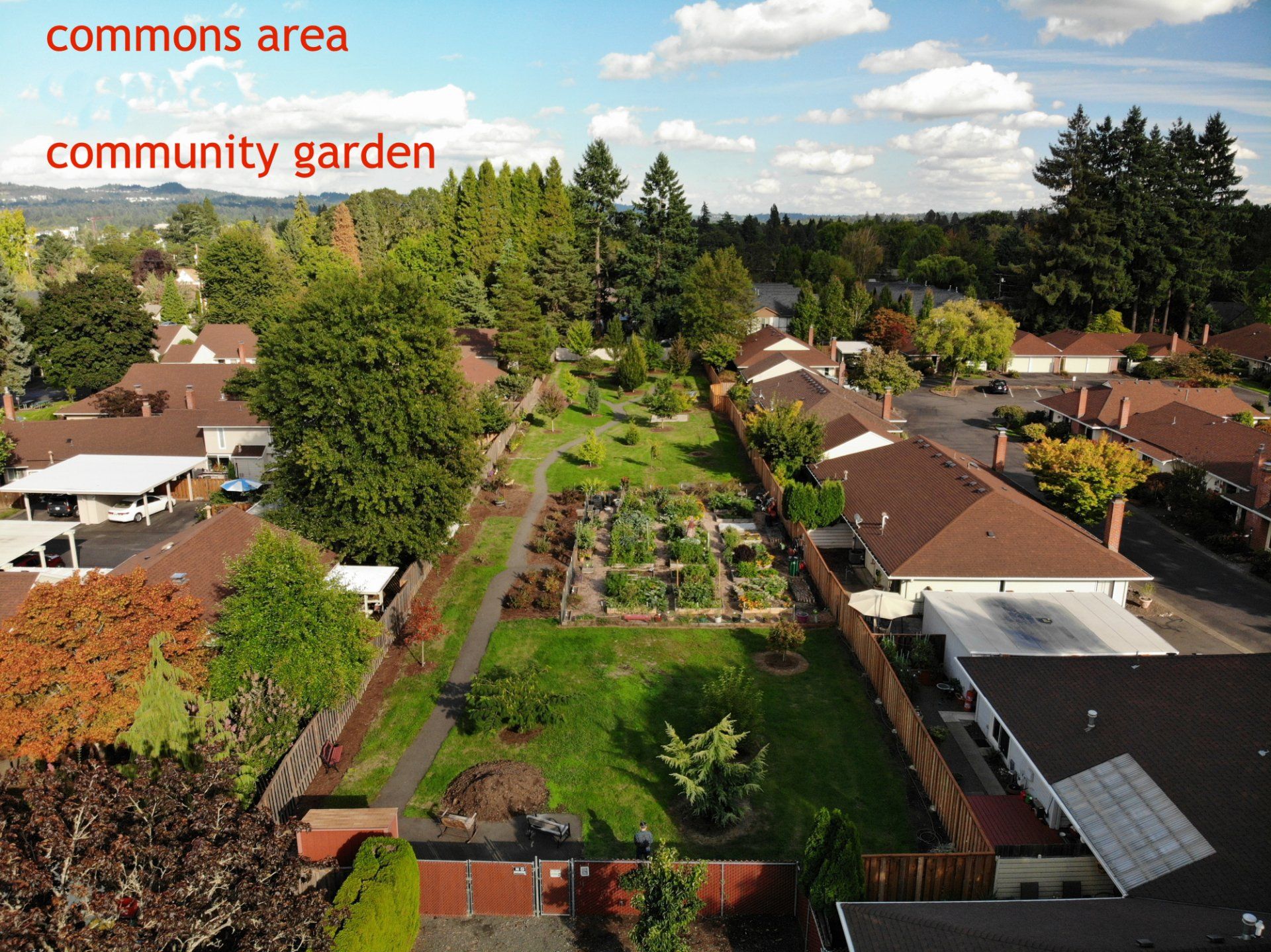 An aerial view of a community garden in the commons area