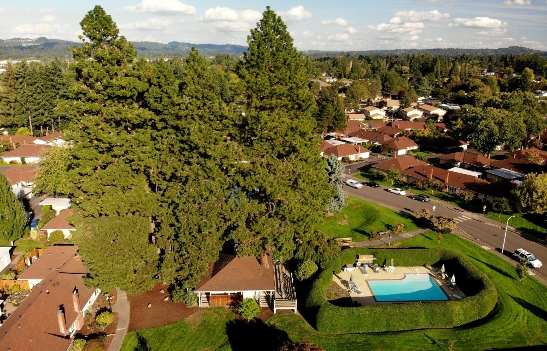 An aerial view of a residential area with a swimming pool