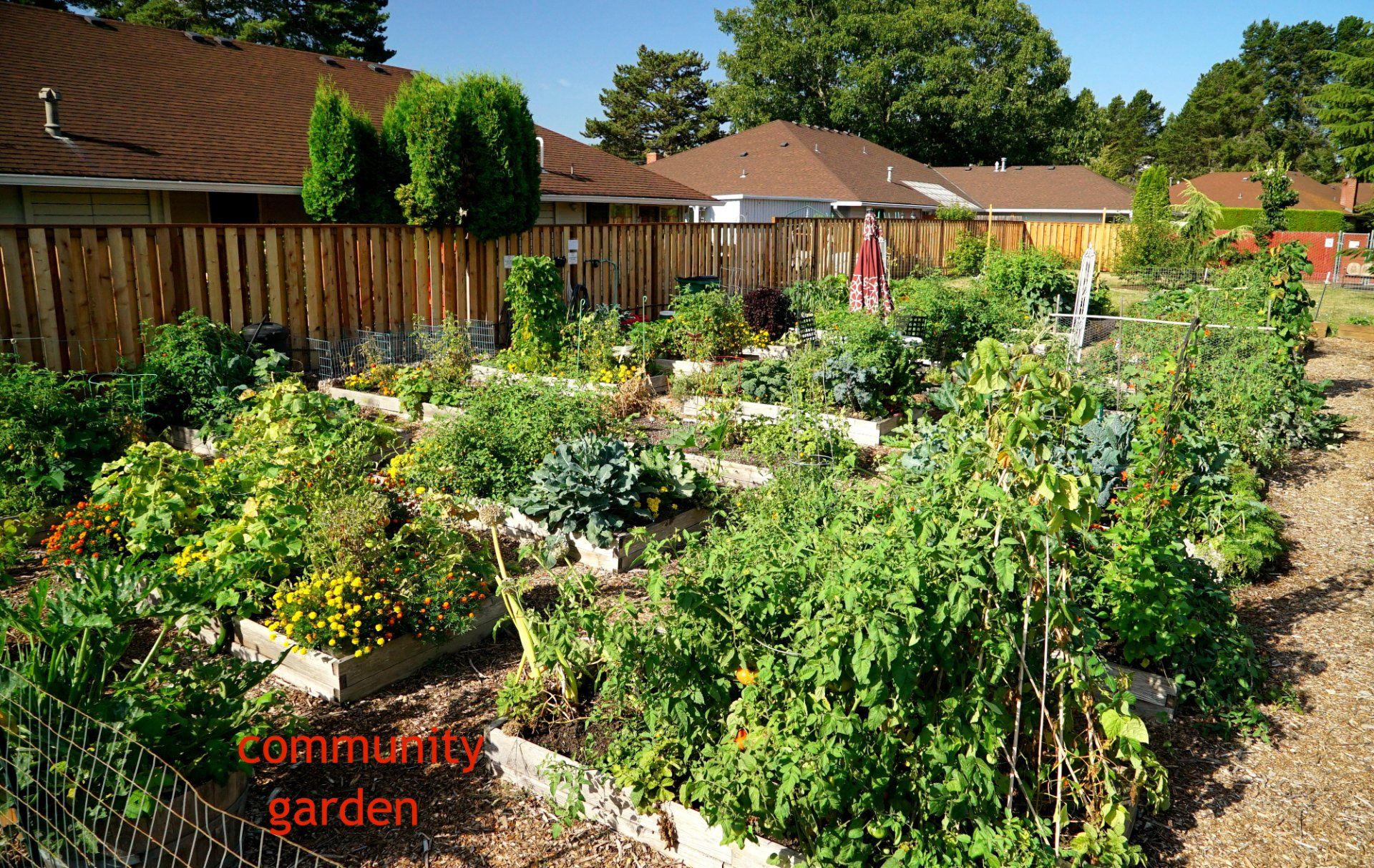Westbrook community garden