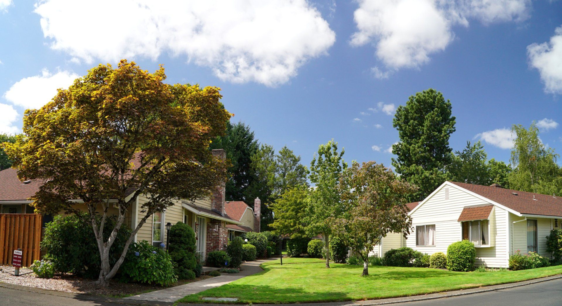 A row of houses with trees in front of them on a sunny day
