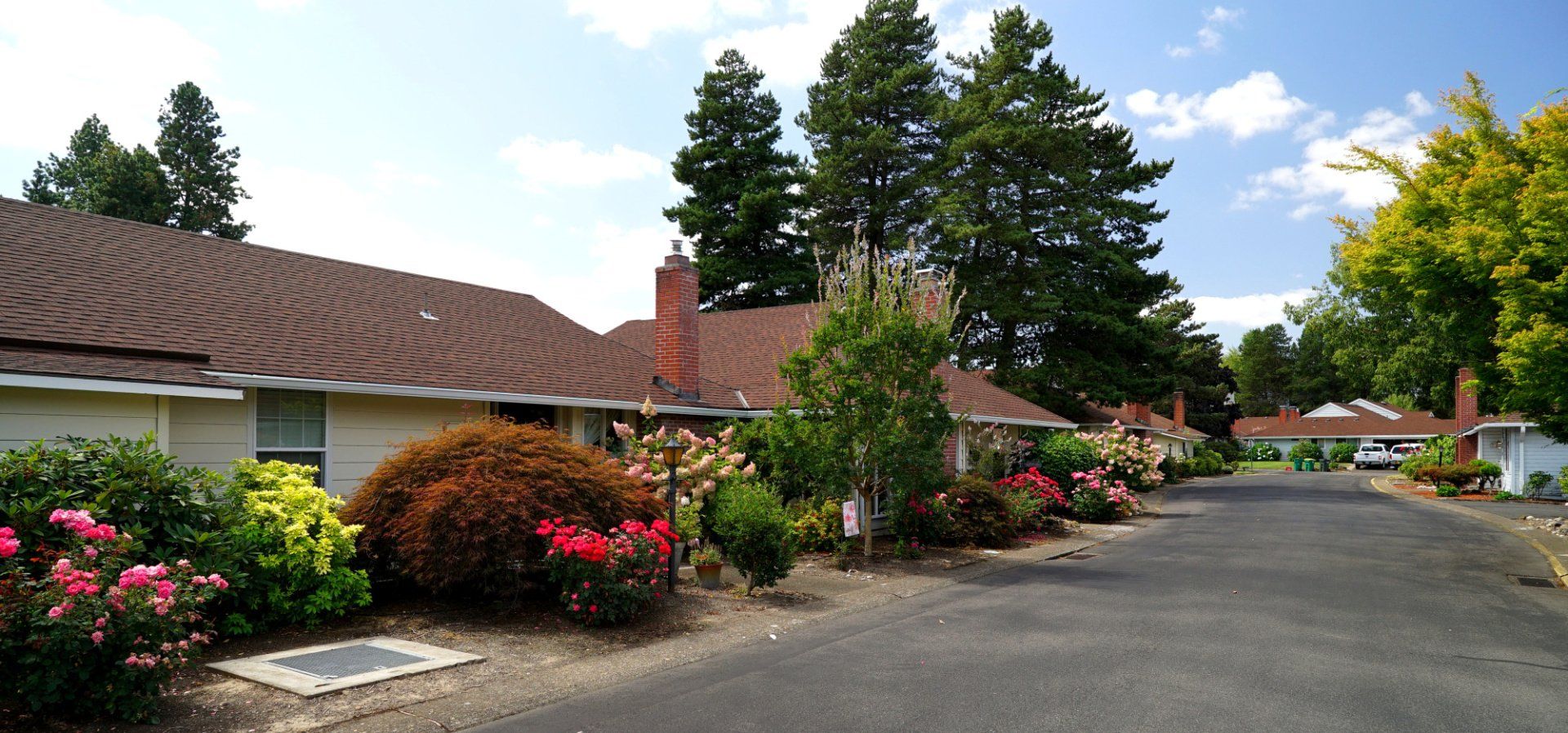 A row of houses are lined up on a residential street