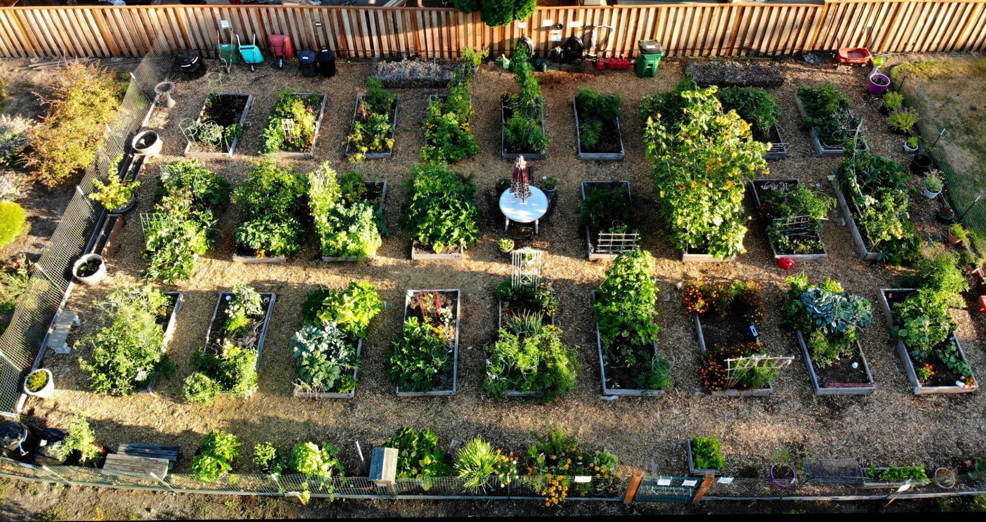 An aerial view Westbrook garden 